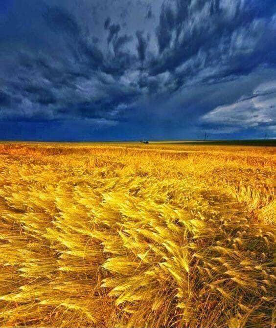 Обкладинка профілю